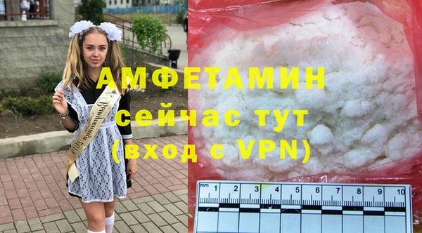индика Алзамай