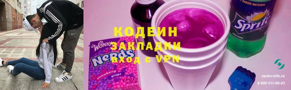 индика Алзамай
