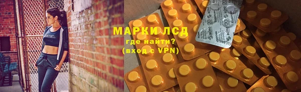 индика Алзамай